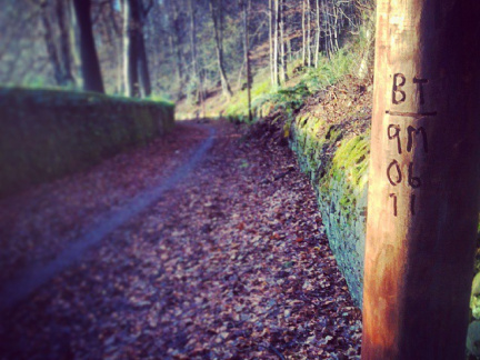 ebc1d211c9de05b997652ecd53de7f9c