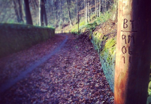 ebc1d211c9de05b997652ecd53de7f9c