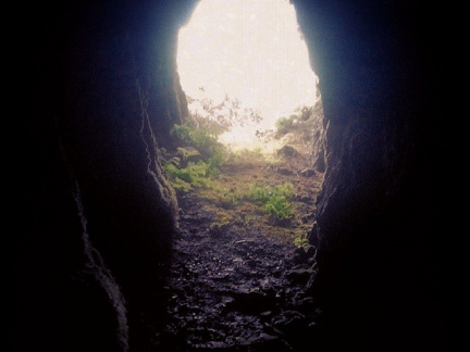 1cdedb035dae56aa3dbc049574423281