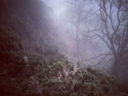 2dd15b43883424a4a839721b7d0d2f17