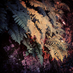 58c880c9ce2cc37b75f1645656362dc9