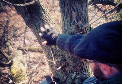 77d0adb241c651256128926288f834c5