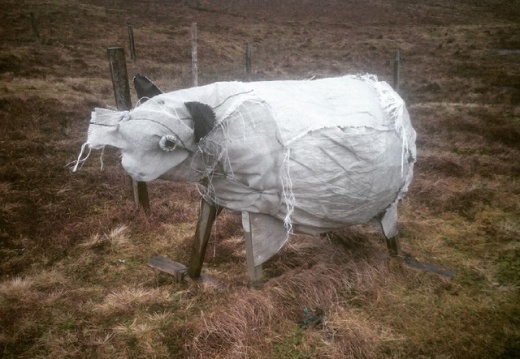 5ed92fc6a9517f57549a0d3bbc02d93d