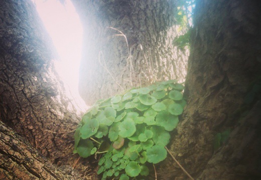 c995b781117aa523516579cabdd57d90