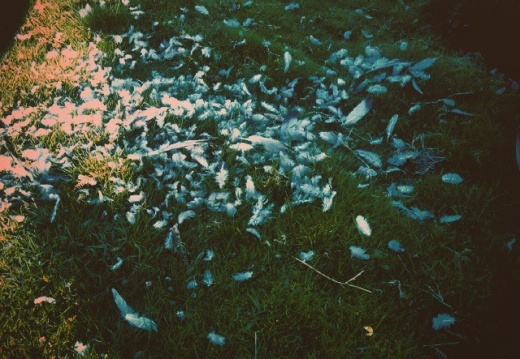 1f2b40b48d360b80e620f4c9e7c0e992