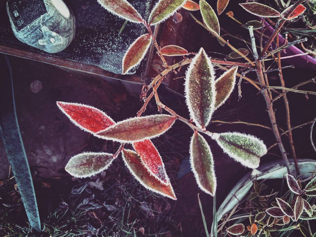 f04ab6f4013cac9f3071e2f797fdf45d