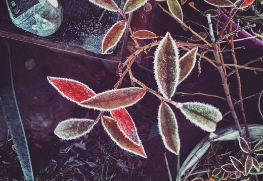 f04ab6f4013cac9f3071e2f797fdf45d