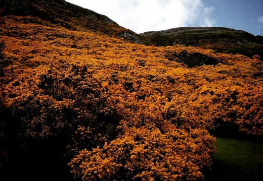 e44fff34f6b9e25803ecf332b6aea6ac