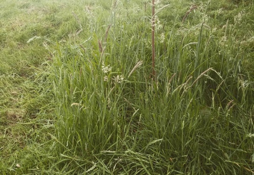 6eb52c94549bd17881ac2d30c54c3293