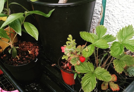 872c7f4f254e5d5e8b3ee95c70b425f2