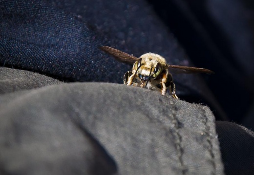 8426e54c3a09888d9ba3d124446c7de5