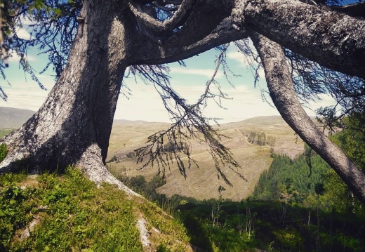 2734126c9268188be68ad8f8ba4bd8cd