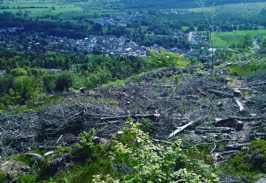 afc1a16d1ed0f3bdca303cde62b2c74b