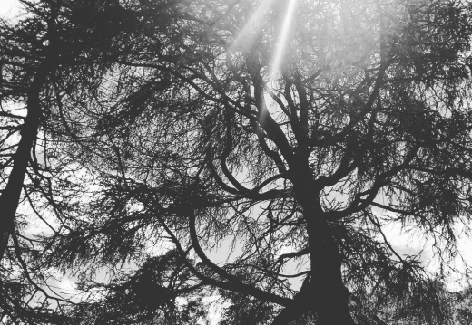 1bd925bda833eb83904ac1802b7b50fa