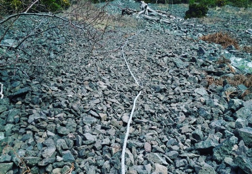 3127285ea4782b6e7f84ee51170da0af