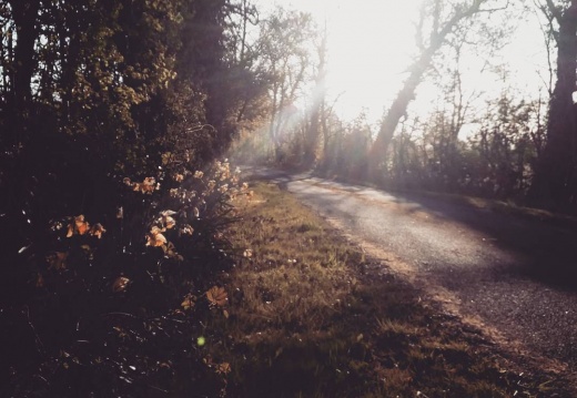 aec68352505a735a6f062d5ccc21c2b2