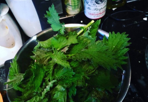 bb19bb3029dd5549ed28f43f4ea605d6