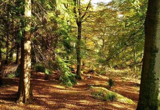 139e34ce9b792fd2286a6d55cdade197