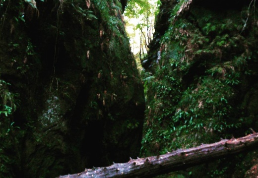 705aa714797f9b9dce61f48f4453c0ae