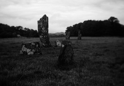 67516d7e9a93416cc3caba0632c76049