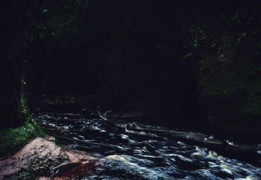 ae43d03859f736b9f53068b74b2a0245