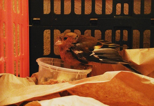 e85aae38c31c3b03f9f70b9c5d3b8ace