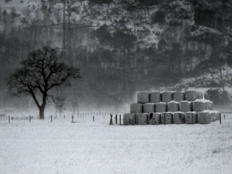 480a8ba736cc74845427eb984a7fc839