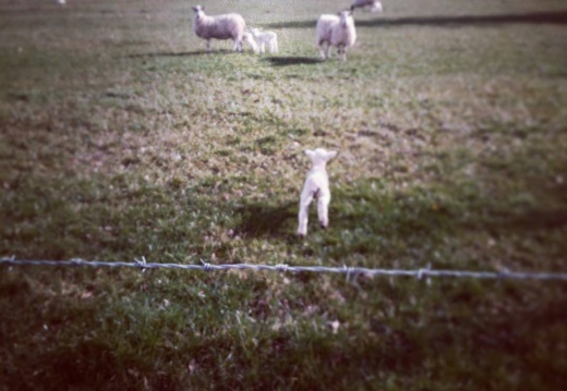 84376d17124223b2c209e5315de34d87