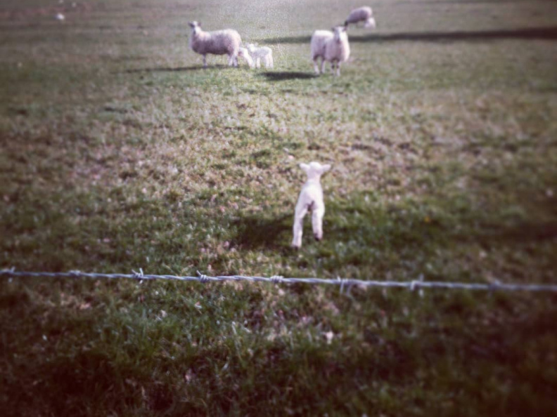 84376d17124223b2c209e5315de34d87