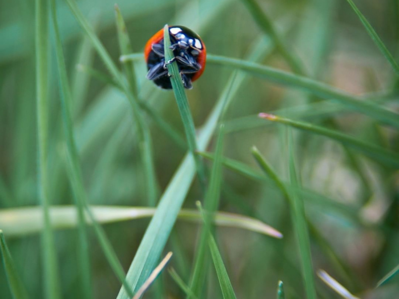 b7989862d4d5cf95c8ccaf10f4f8bff8