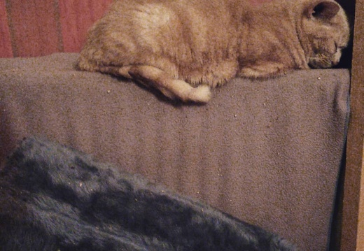 cd14c8744fa748afd6d0a752fc283251