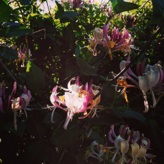 e967fdee9a0ccec57e2c140d3add466f