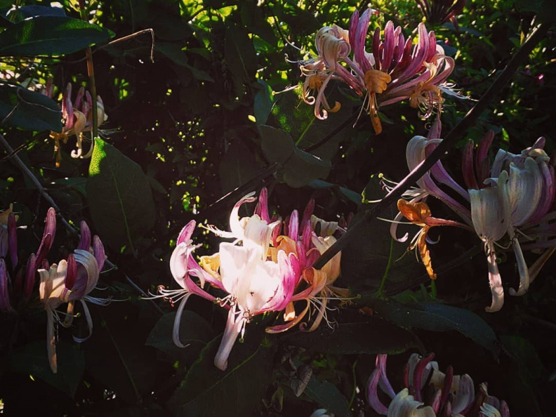 e967fdee9a0ccec57e2c140d3add466f