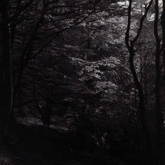 halina paulette tri-x009