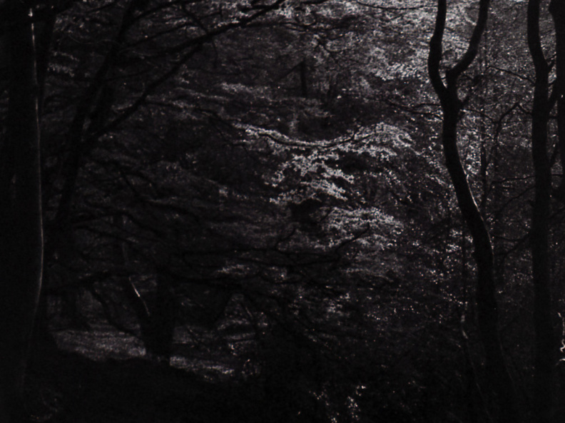 halina paulette tri-x009