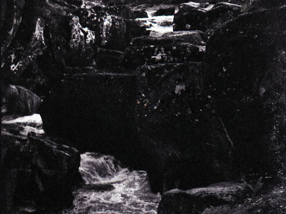 halina paulette tri-x006