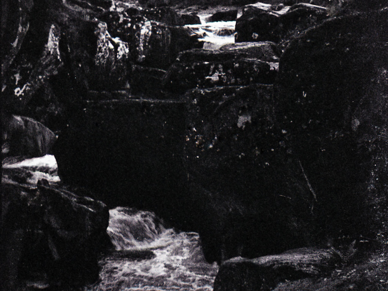 halina paulette tri-x006