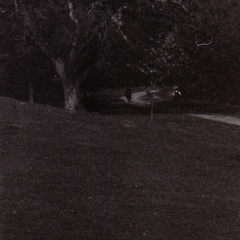 zorki4k acupan800 008