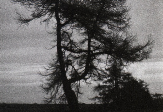 om40 hp5 exp-nov1988 035