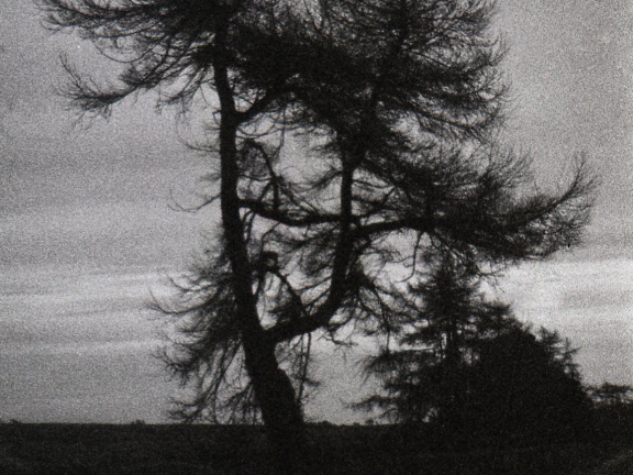 om40 hp5 exp-nov1988 035