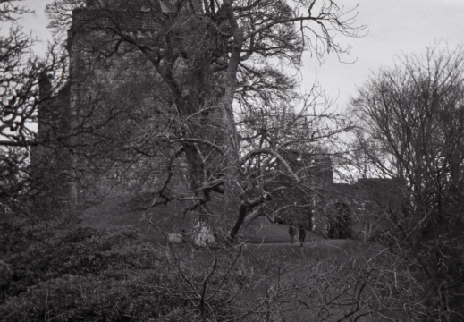 om10 tri-x castle campbell 019