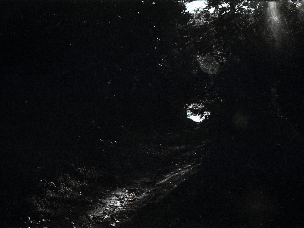 kiev4m foma100 lc29 012