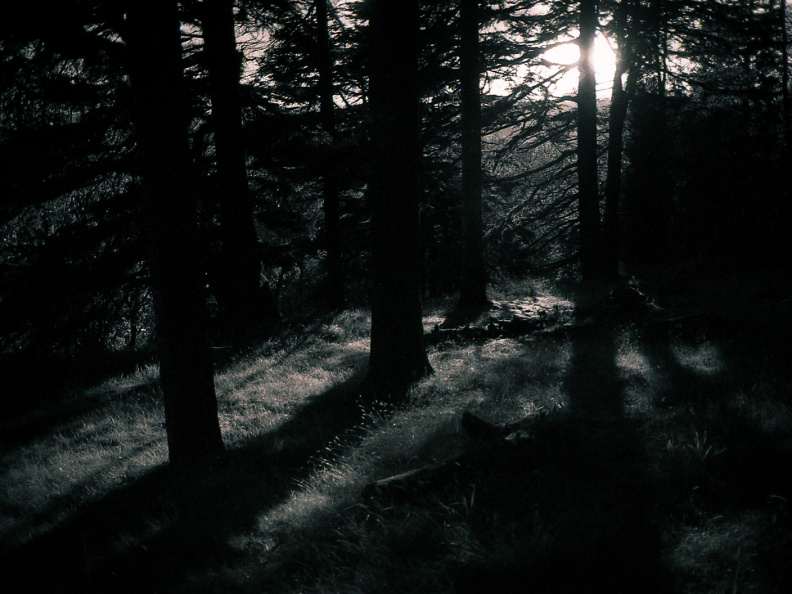 om10 pink 28mm lc29 028