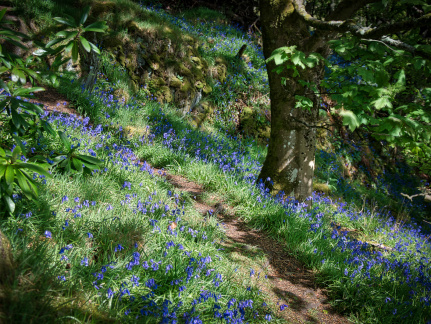 DSC 6744 AuroraHDR2018-edit