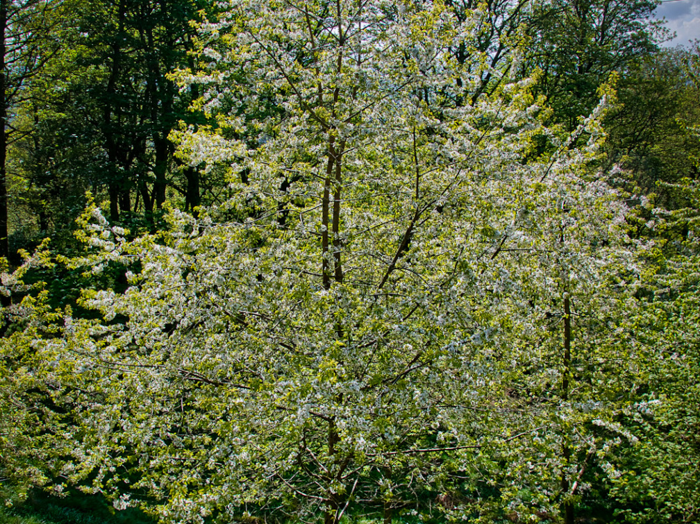 DSC 6840 AuroraHDR2018-edit