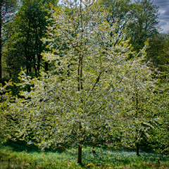 DSC 6840 AuroraHDR2018-edit