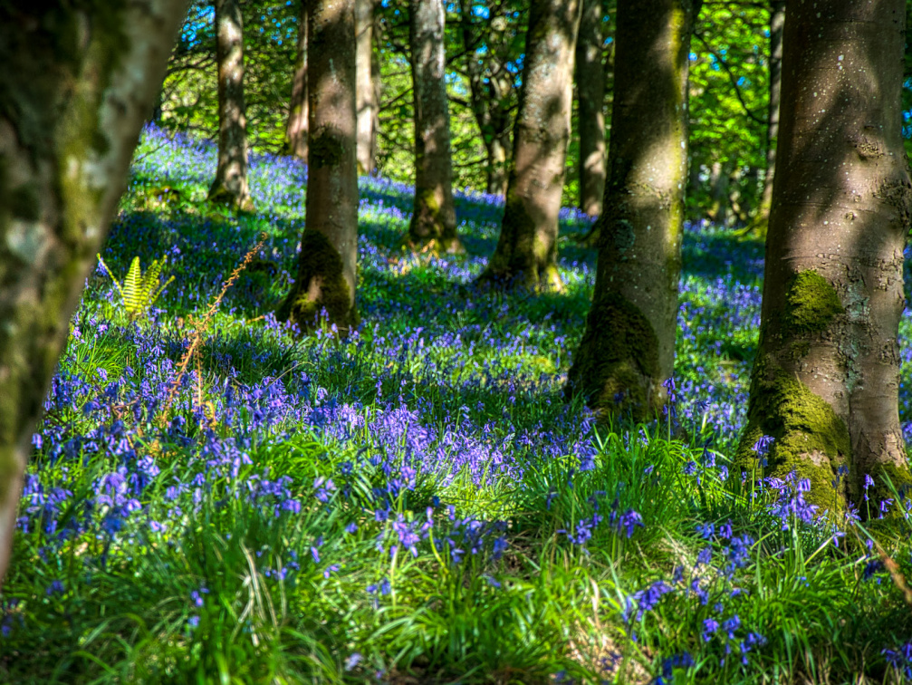 DSC 6886 AuroraHDR2018-edit