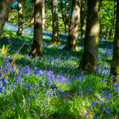 DSC 6886 AuroraHDR2018-edit