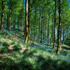 DSC 6876 AuroraHDR2018-edit