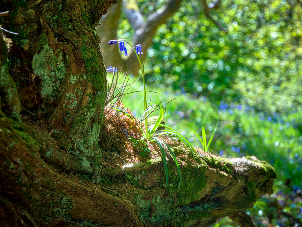 DSC 6762 AuroraHDR2018-edit